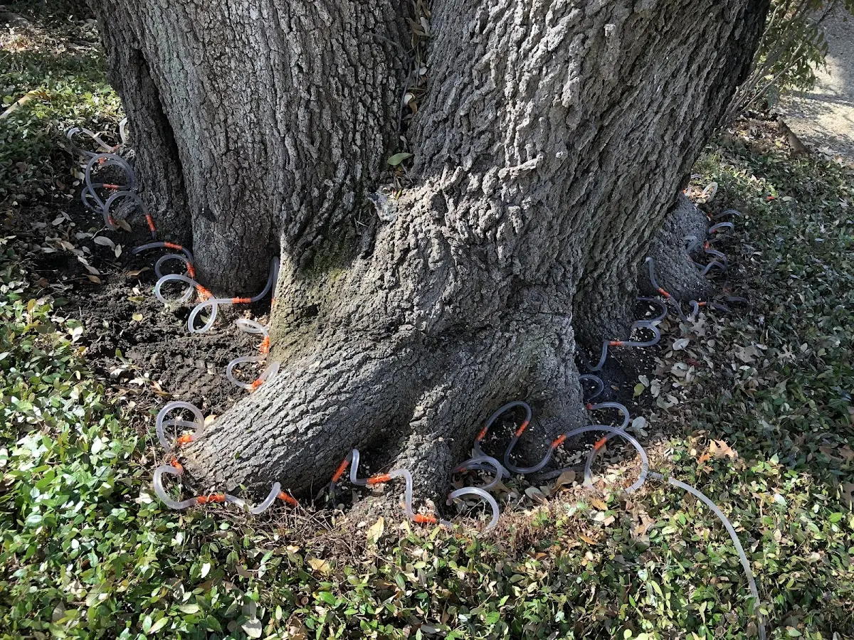 Detailed Shrub and Hedge Trimming job site in Stamps